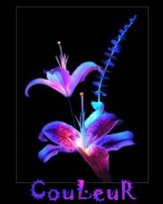 PoUr Un AnGe...