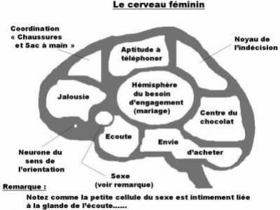 CeRvEaU FéMiNiN...