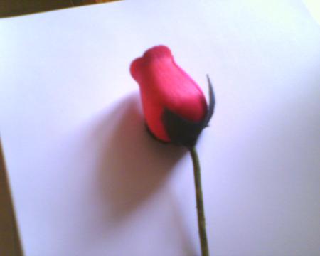 PoEmE...