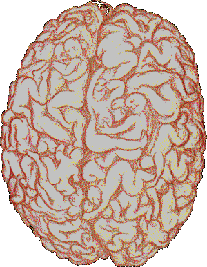 CeRvEaU...